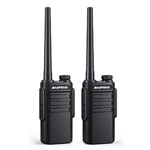 MP31