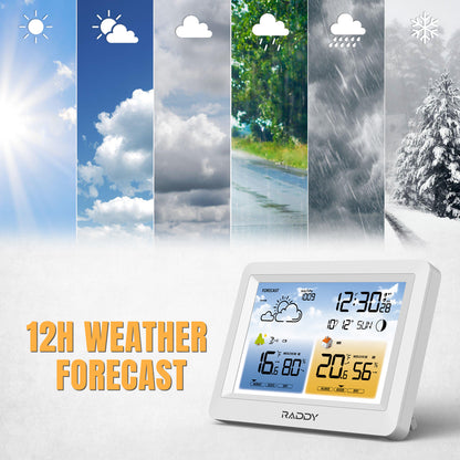 Raddy WM6 Weather Station | 12H WEATHER FORECAST