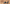 Two walkie-talkies on a map with 'New Arrival' text