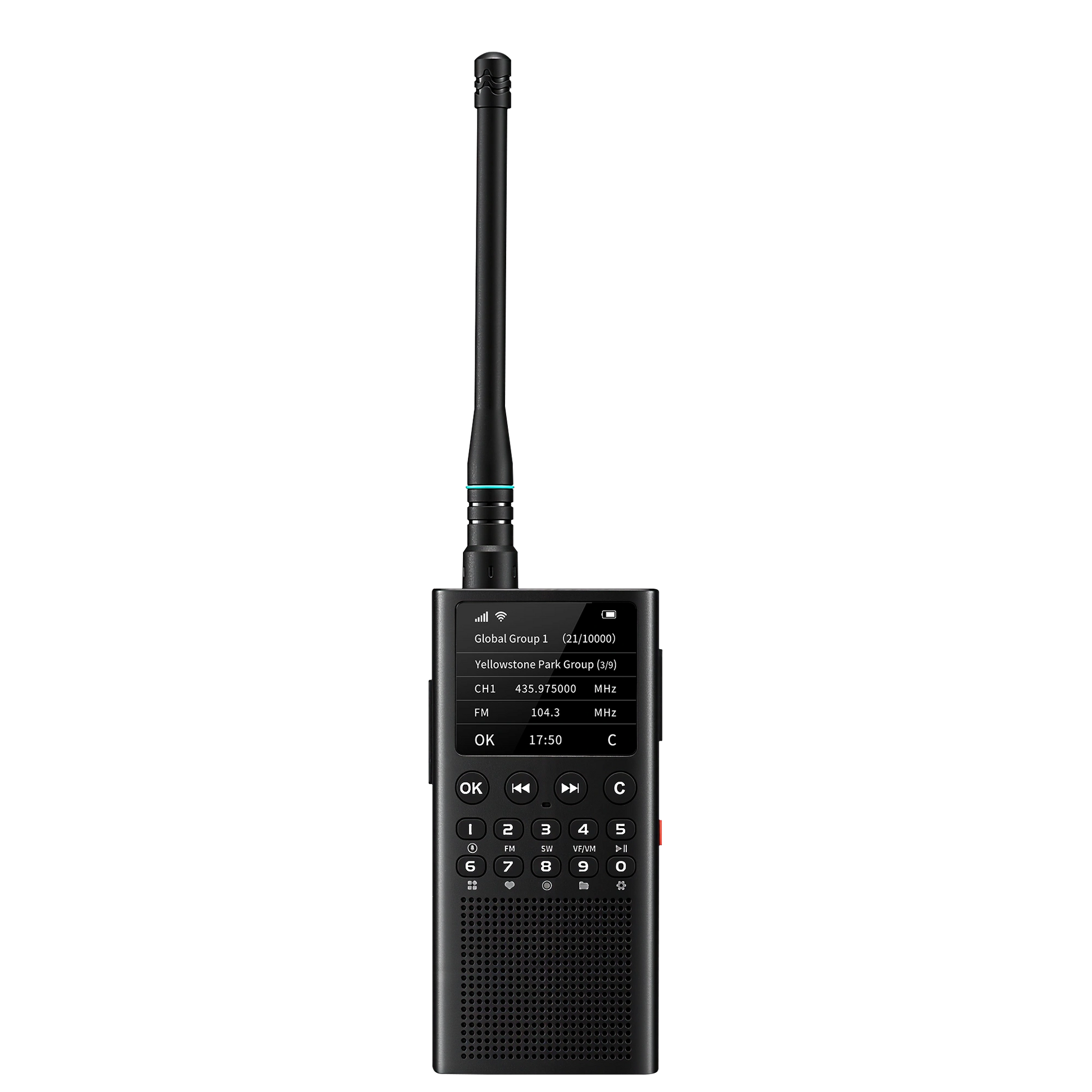 Black WT2 on a white background