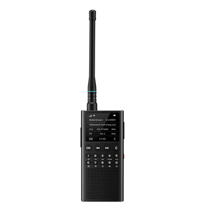 Black WT2 on a white background