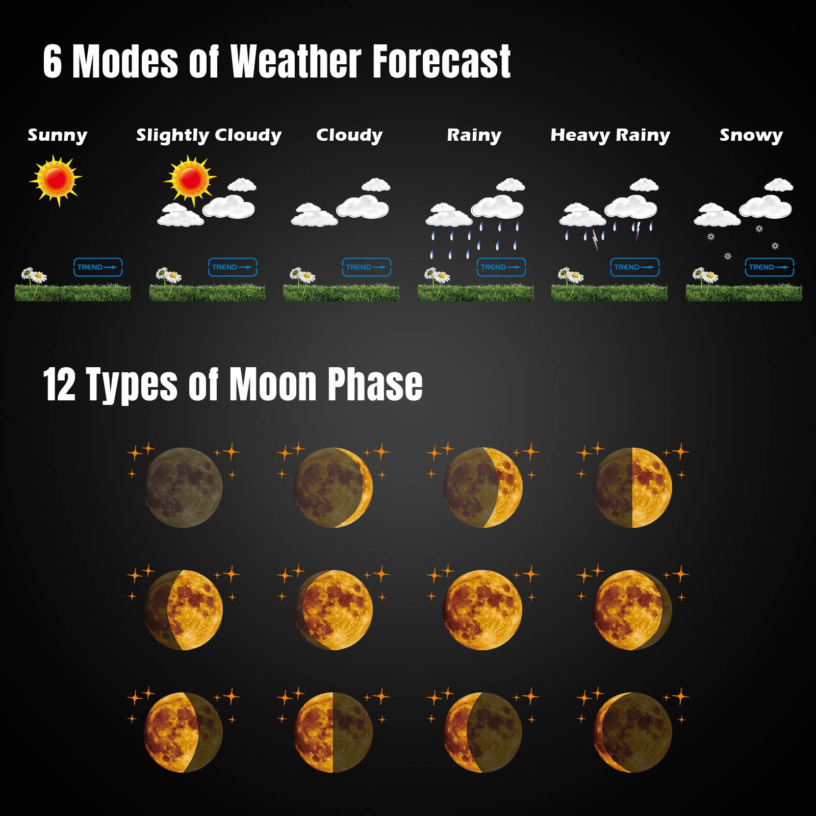 Raddy UV6 Professional Weather Station Weather forecast chart with six modes of weather and twelve types of moon phases on a black background.