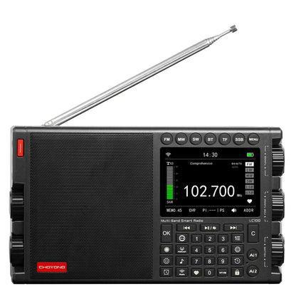 Black CHOYONG LC100 radio with telescopic antenna, color display and numeric keypad
