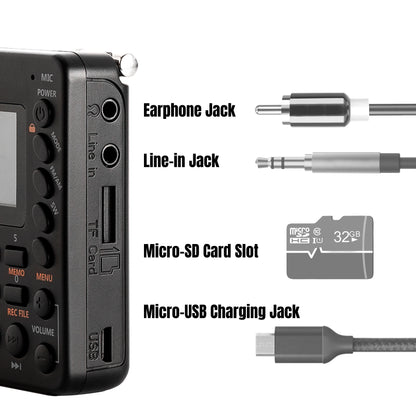 Raddy RF30 AM/FM/SW Radio | Digital Tuner | Bluetooth | AUX Recording - Radioddity