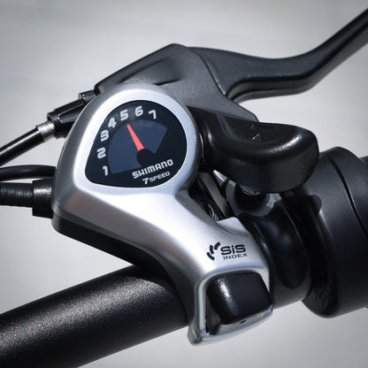 Raddy eRide Metro [without battery] - Radioddity