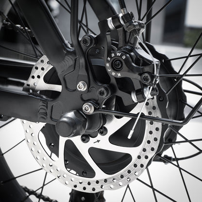 Raddy eRide Metro [without battery] - Radioddity