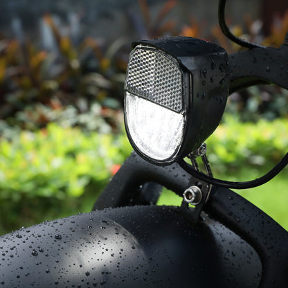 Raddy eRide Metro [without battery] - Radioddity