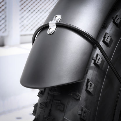 Raddy eRide Metro [without battery] - Radioddity
