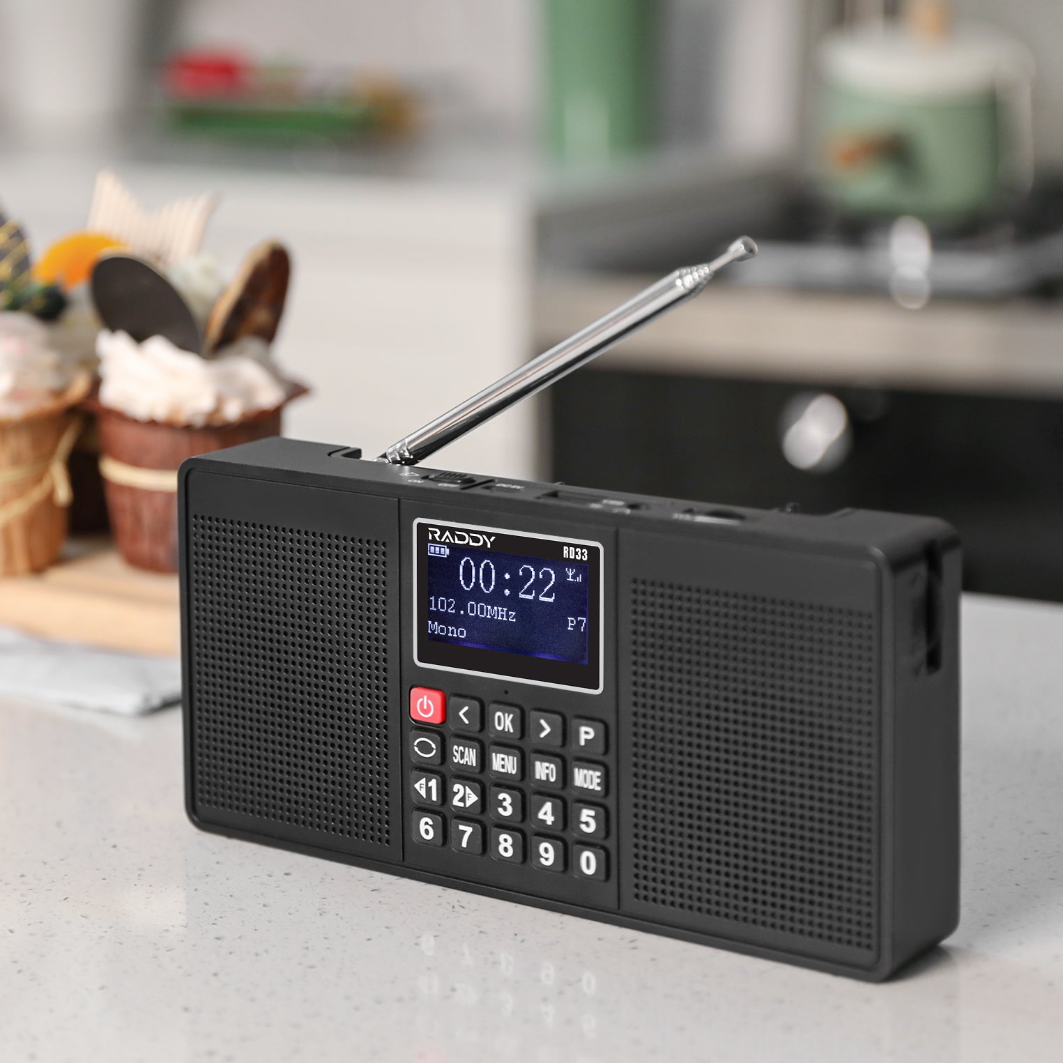 Raddy RD33 Tragbares FM DAB Radio | Digitales Wiederaufladbares | MP3 Musik-Wiedergabe | Unterstützung von Bluetooth [DISCONTINUED] - Radioddity