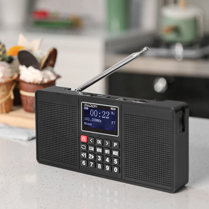 Raddy RD33 Tragbares FM DAB Radio | Digitales Wiederaufladbares | MP3 Musik-Wiedergabe | Unterstützung von Bluetooth [DISCONTINUED] - Radioddity