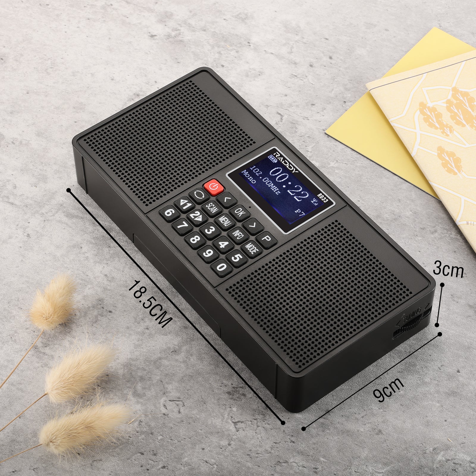Raddy RD33 Tragbares FM DAB Radio | Digitales Wiederaufladbares | MP3 Musik-Wiedergabe | Unterstützung von Bluetooth [DISCONTINUED] - Radioddity