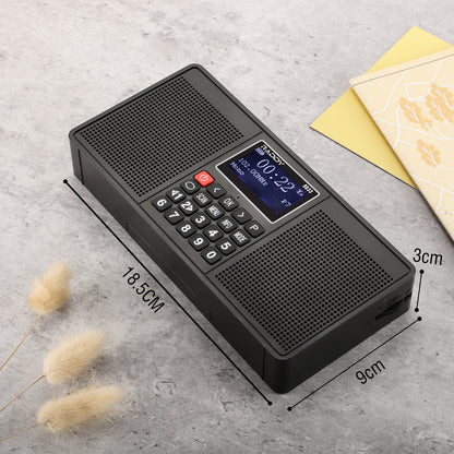 Raddy RD33 Tragbares FM DAB Radio | Digitales Wiederaufladbares | MP3 Musik-Wiedergabe | Unterstützung von Bluetooth [DISCONTINUED] - Radioddity