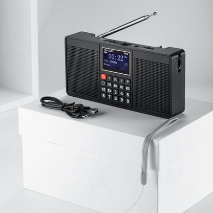 Raddy RD33 Tragbares FM DAB Radio | Digitales Wiederaufladbares | MP3 Musik-Wiedergabe | Unterstützung von Bluetooth [DISCONTINUED] - Radioddity