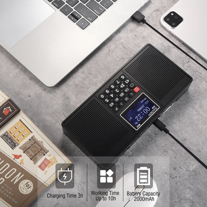 Raddy RD33 Tragbares FM DAB Radio | Digitales Wiederaufladbares | MP3 Musik-Wiedergabe | Unterstützung von Bluetooth [DISCONTINUED] - Radioddity