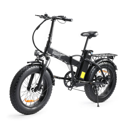 Raddy eRide Metro [without battery] - Radioddity